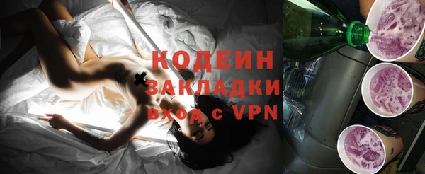 крисы Краснослободск