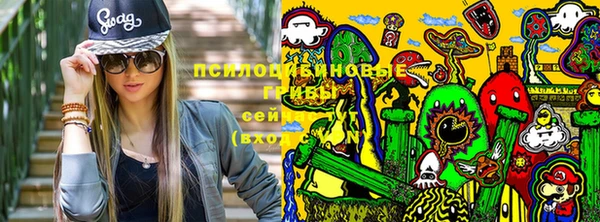 Альфа ПВП Абаза