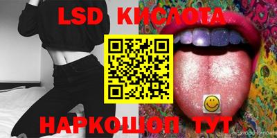 СК Вышний Волочёк