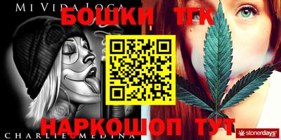 СК Вышний Волочёк
