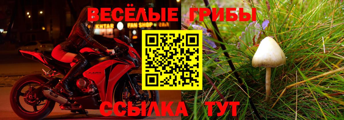 Галлюциногенные грибы Psilocybe  Псилоцибиновые грибы ЛСД  Вход с VPN  Карасук 